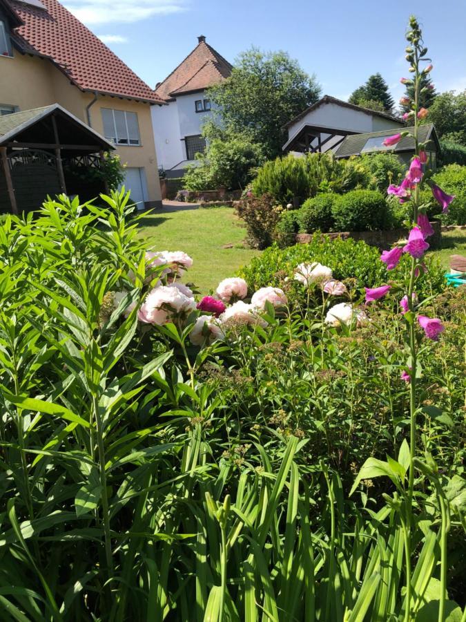 Gemuetliches Apartment Garden View Ramstein-Miesenbach Exterior foto